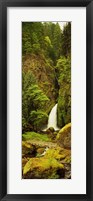 Framed Waterfall in the Columbia River Gorge, Oregon, USA