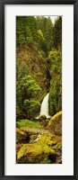 Framed Waterfall in the Columbia River Gorge, Oregon, USA