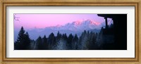 Framed Trees with snow covered mountains at sunset in winter, Combloux, Mont Blanc Massif, Haute-Savoie, Rhone-Alpes, France