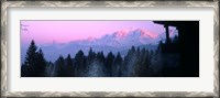 Framed Trees with snow covered mountains at sunset in winter, Combloux, Mont Blanc Massif, Haute-Savoie, Rhone-Alpes, France