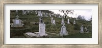 Framed Tombstone in a cemetery, Saxon Church, Biertan, Transylvania, Mures County, Romania