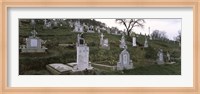 Framed Tombstone in a cemetery, Saxon Church, Biertan, Transylvania, Mures County, Romania