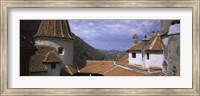 Framed Courtyard of a castle, Bran Castle, Brasov, Transylvania, Mures County, Romania