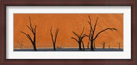 Framed Dead trees by red sand dunes, Dead Vlei, Namib-Naukluft National Park, Namibia