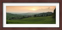 Framed Trees on a hill, Monticchiello Di Pienza, Val d'Orcia, Siena Province, Tuscany, Italy