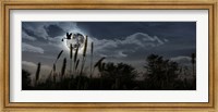 Framed Stork with a baby flying over moon