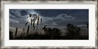 Framed Stork with a baby flying over moon