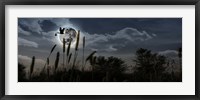 Framed Stork with a baby flying over moon