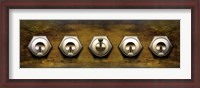 Framed Close-up of five switches