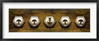 Framed Close-up of five switches