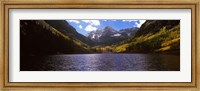 Framed Trees in a forest, Snowmass Wilderness Area, Maroon Bells, Colorado, USA