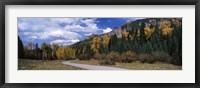 Framed Road passing through a forest, Jackson Guard Station, Ridgway, Colorado, USA