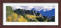 Framed Forest on a mountain, Jackson Guard Station, Ridgway, Colorado, USA