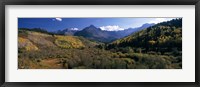 Framed Trees on mountains, State Highway 62, Ridgway, Colorado, USA