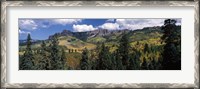 Framed Trees on mountains, Ridgway, Colorado, USA