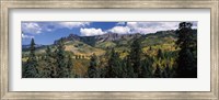 Framed Trees on mountains, Ridgway, Colorado, USA