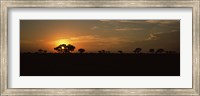 Framed Sunset over the savannah plains, Kruger National Park, South Africa