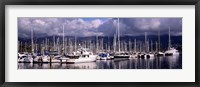 Framed Boats at a harbor, Santa Barbara Harbor, Santa Barbara, California, USA