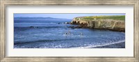 Framed Santa Cruz Island, Santa Barbara County, California