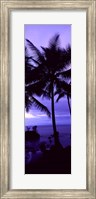 Framed Palm trees on the coast, Colombia (purple)
