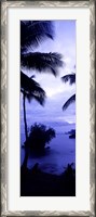 Framed Palm trees on the coast, Colombia (purple and blue)