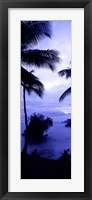 Framed Palm trees on the coast, Colombia (purple and blue)