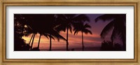 Framed Palm trees on the coast, Colombia (pink sky)