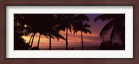 Framed Palm trees on the coast, Colombia (pink sky)