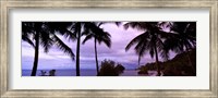 Framed Palm trees on the coast, Colombia (purple sky with clouds)