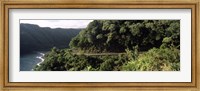 Framed Hana Highway, Maui, Hawaii