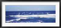 Framed Tourists windsurfing, Hookipa Beach Park, Maui, Hawaii