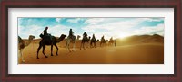 Framed Tourists riding camels through the Sahara Desert landscape led by a Berber man, Morocco