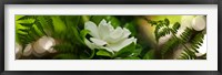 Framed Fern with magnolia