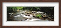 Framed River flowing through a forest, Little Pigeon River, Great Smoky Mountains National Park, Tennessee, USA