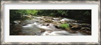 Framed River flowing through a forest, Little Pigeon River, Great Smoky Mountains National Park, Tennessee, USA