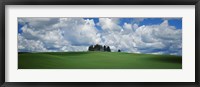 Framed Trees on the top of a hill, Palouse, Whitman County, Washington State, USA