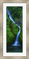 Framed Waterfall in a forest, Sullivan Falls, Opal Creek Wilderness, Oregon, USA