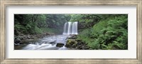 Framed Waterfall in a forest, Sgwd Yr Eira (Waterfall of Snow), Afon Hepste, Brecon Beacons National Park, Wales