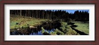 Framed River flowing through a forest, East Dart River, Dartmoor, Devon, England