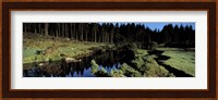 Framed River flowing through a forest, East Dart River, Dartmoor, Devon, England