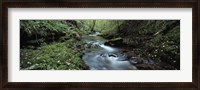 Framed River flowing through a forest, River Lyd, Lydford Gorge, Dartmoor, Devon, England