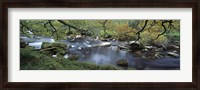 Framed River flowing through a forest, West Dart River, Dartmeet, Devon, England