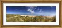 Framed Marram Grass, dunes and beach, Winterton-on-Sea, Norfolk, England
