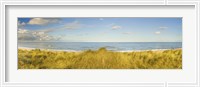 Framed Grass on the beach, Horsey Beach, Norfolk, England