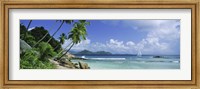 Framed Palm trees on the beach, Anse Severe, La Digue Island, Praslin Island, Seychelles
