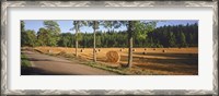 Framed Hay bales in a field, Flens, Sweden
