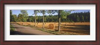 Framed Hay bales in a field, Flens, Sweden