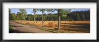 Framed Hay bales in a field, Flens, Sweden