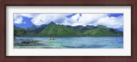 Framed Polynesian people rowing a yellow outrigger boat in the bay, Opunohu Bay, Moorea, Tahiti, French Polynesia