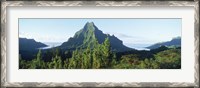 Framed Mountains at a coast, Belvedere Point, Mont Mouaroa, Opunohu Bay, Moorea, Tahiti, French Polynesia